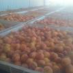 More Picked Peaches